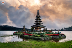 IMG_0006-Edit-Edit-2-2