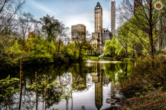 IMG_5498-Edit-Edit-5